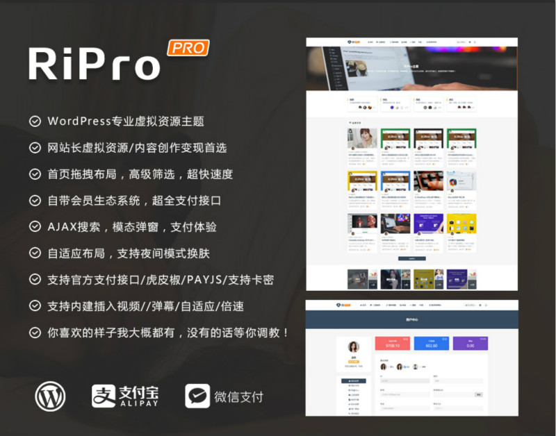 Ripro9.0(开心版)-龙盟网