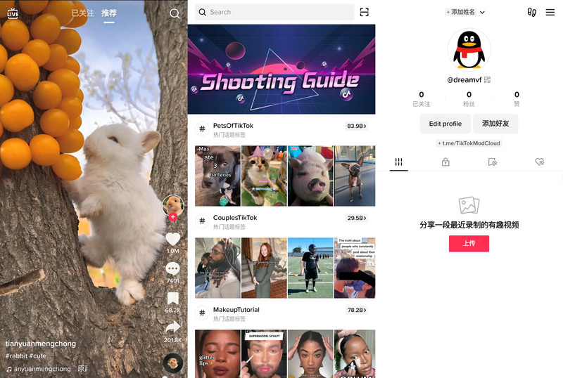 TikTok_v39.4.3(绿色版)-龙盟网